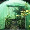 pol pl Folia na tunel ogrodowy 4x2 5x2 m zapasowe poszycie na szklarnie UV 4 140gs m zielone 34976 15