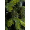 Kanadská borovica 1,20 m