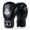 Boxerské rukavice DBX BUSHIDO ARB-Black 10 oz.