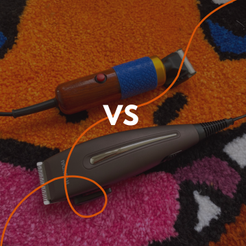 Trymer do dywanów – precyzja vs zwykłe alternatywy