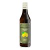 ODK Iced Tea Citron 750 ml