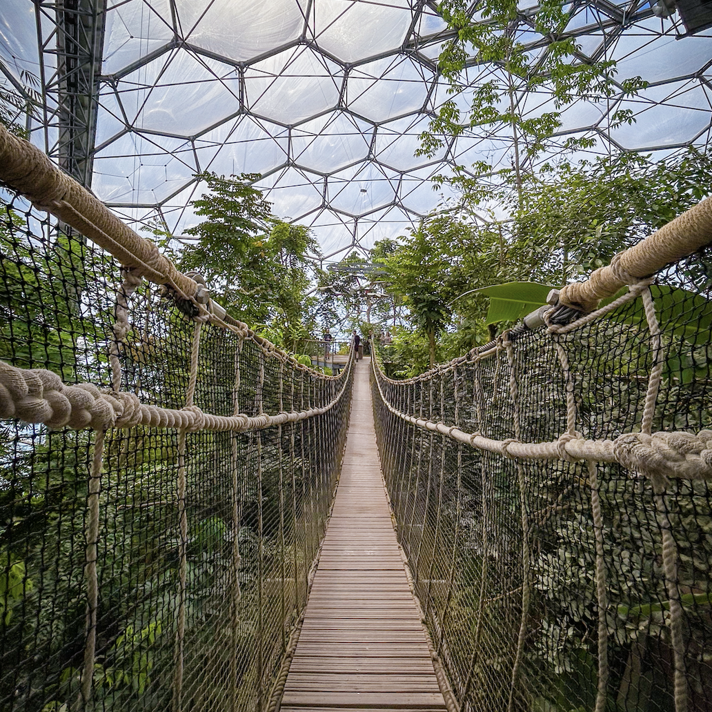 Eden Project: Dažďový prales v srdci Cornwallu