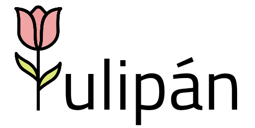 Tulipán