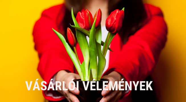 VÁSÁRLÓI VÉLEMÉNYEK