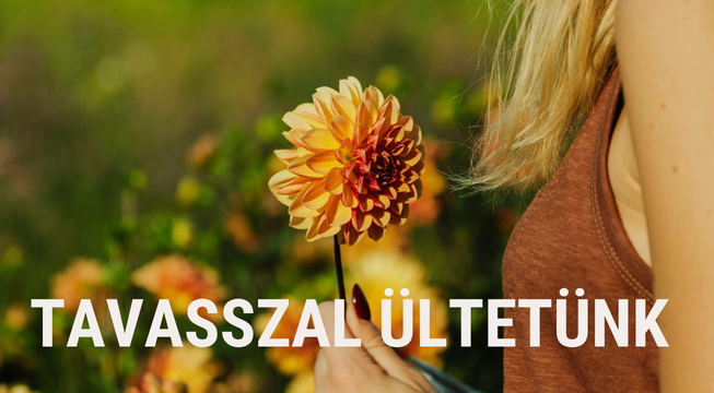Tavasszal ültetünk