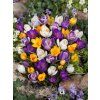 crocus large flowering mixed 2 12