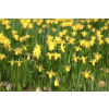 tete tete 2