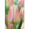 APRICOT PRIDE 960