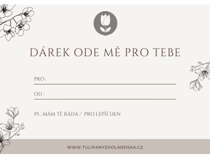 VĚNOVÁNÍ - DÁREK ODE MĚ PRO TEBE