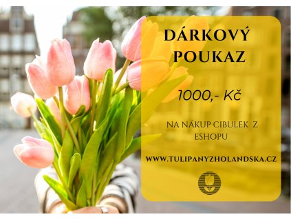 DÁRKOVÝ POUKAZ NA 1 000,- Kč