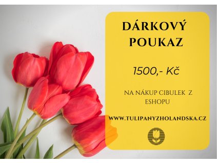 DÁRKOVÝ POUKAZ NA 1 500,- Kč