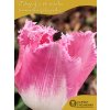 FANCY FRILLS - RŮŽOVÝ TULIPÁN (Množství cibulek v jednom balení 5 ks)