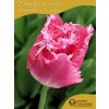FANCY FRILLS - RŮŽOVÝ TULIPÁN (Množství cibulek v jednom balení 5 ks)