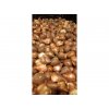 tulipa angelique 2002 5000 1595486901552859782021 1