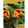 JAN SEIGNETTE - OHNIVÝ TULIPÁN (Množství cibulek v jednom balení 5 ks)