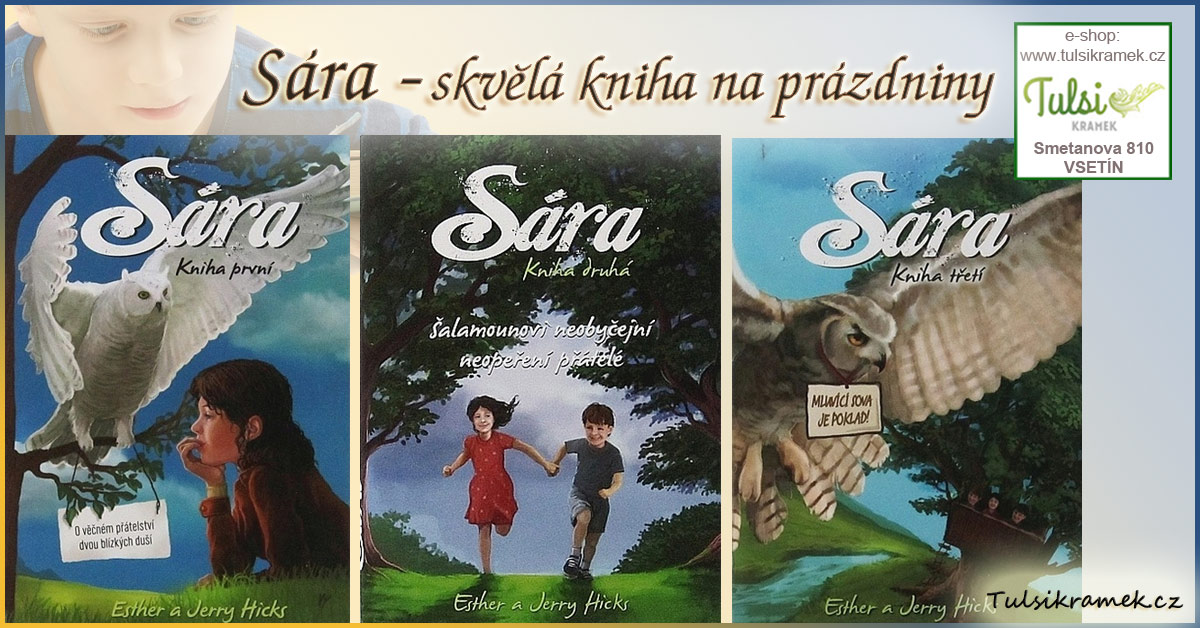 Sára - skvělá kniha na prázdniny