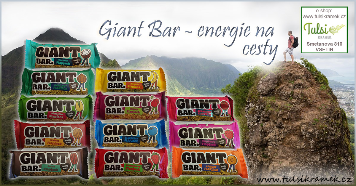 Obří ovesné tyčinky Giant Bar