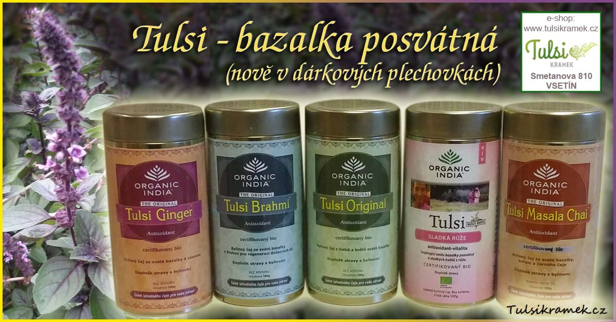 Dárkové Tulsi čaje - bazalka posvátná