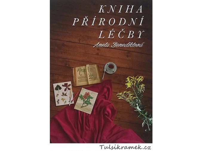 ANETA BENEDIKTOVÁ -  KNIHA PŘÍRODNÍ LÉČBY
