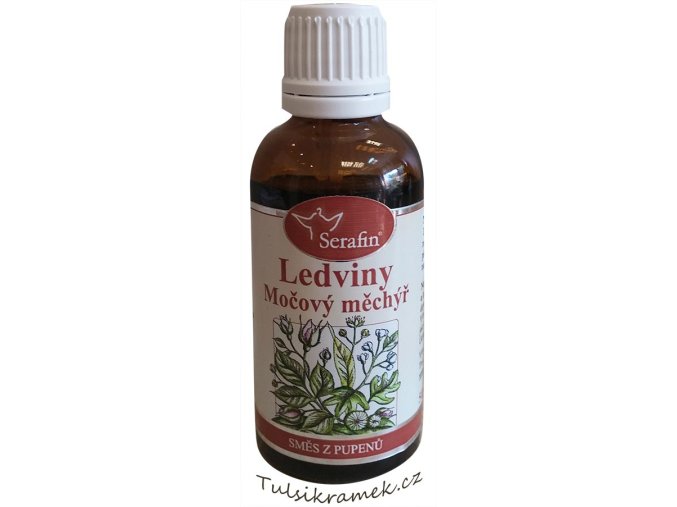 TINKTURA ZE SMĚSI PUPENŮ - LEDVINY A MOČOVÝ MĚCHÝŘ 50ml
