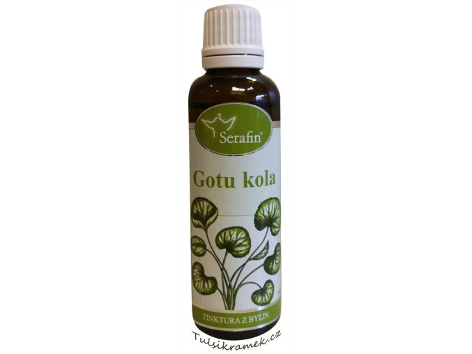 serafin gotukola tinktura z bylin