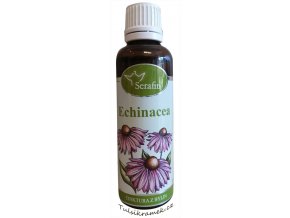 serafin echinacea tinktura z bylin