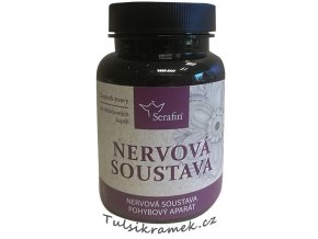 serafin nervová soustava