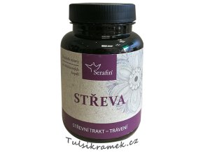 serafin střeva