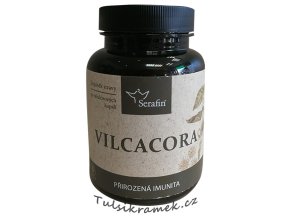 serafin vilcacora