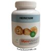 mycomedica hericium