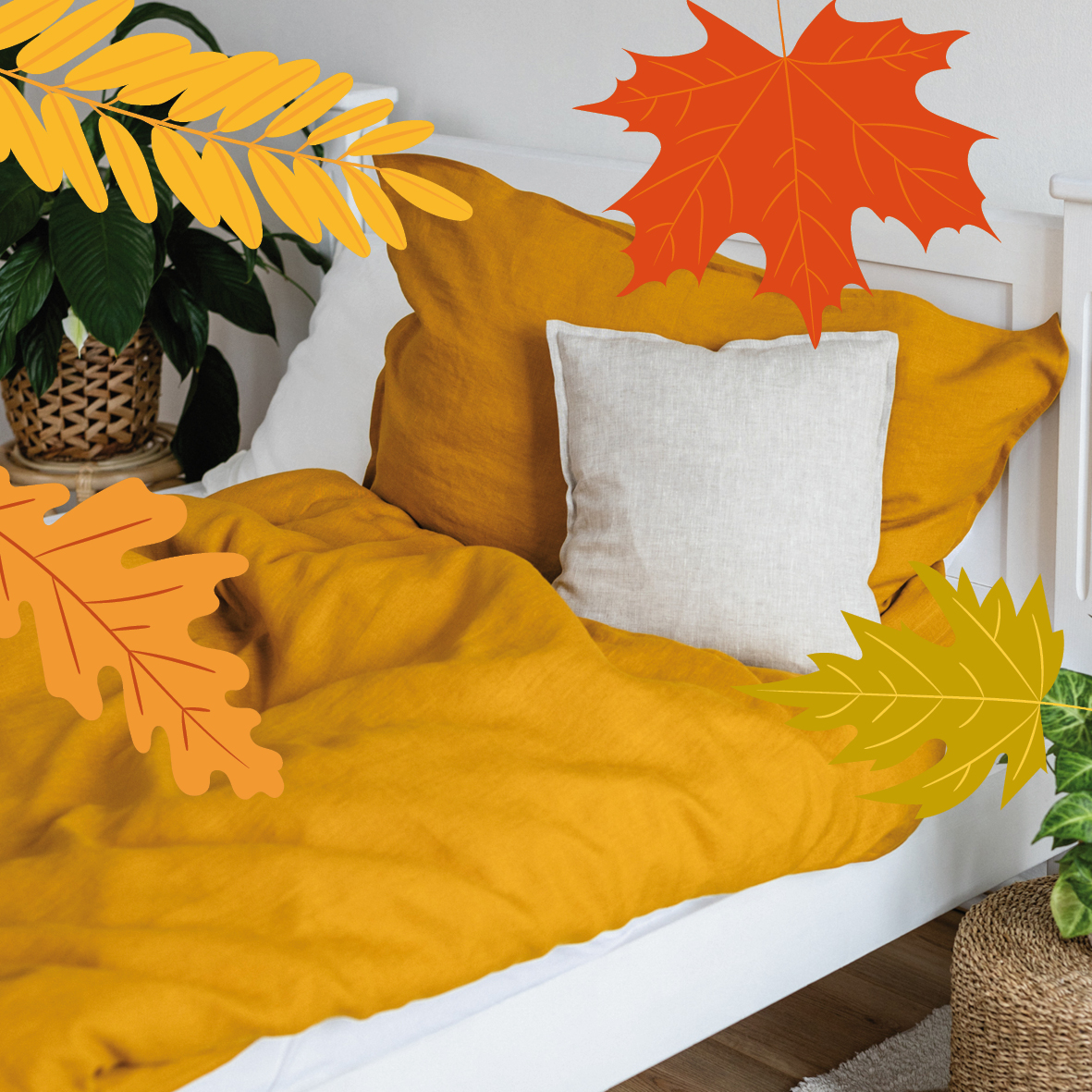 Listopadový pád cen: až -30 % na vybrané kousky!