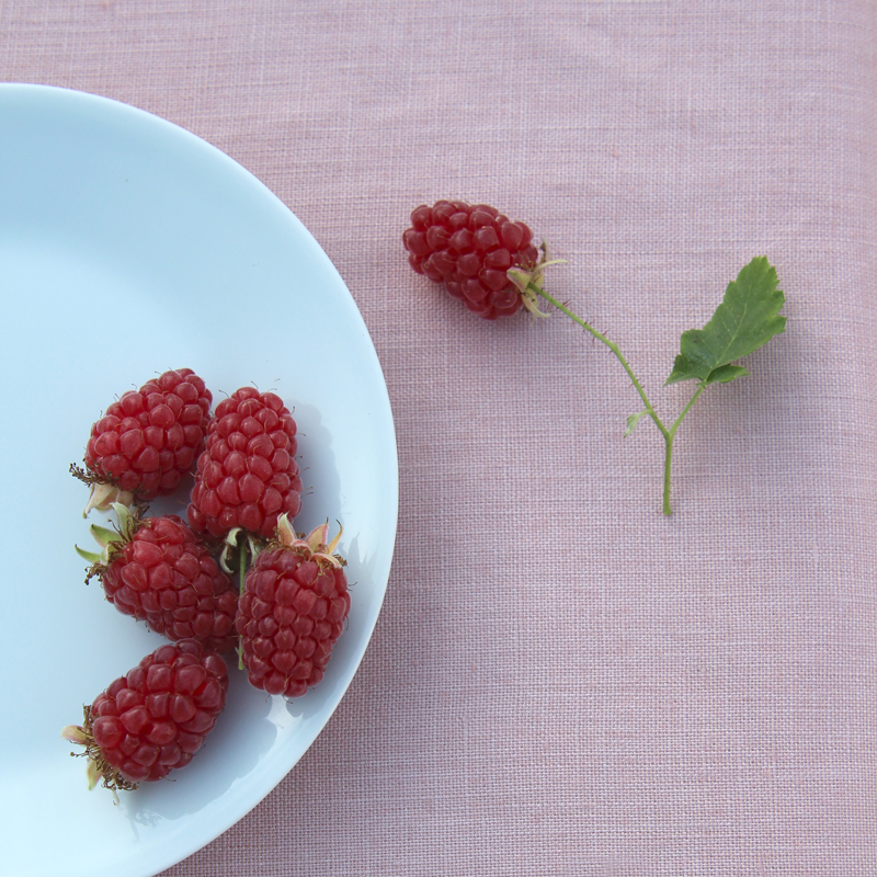 Něžné léto aneb nebojte se romantiky