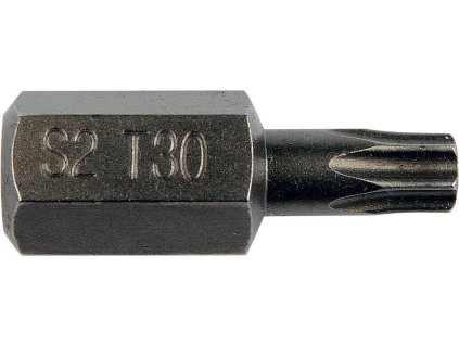 Bit 10 mm T30 x 30mm torx - YT-04051