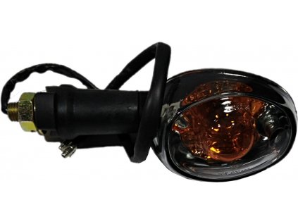 FLASHER LIGHT ASSY , L