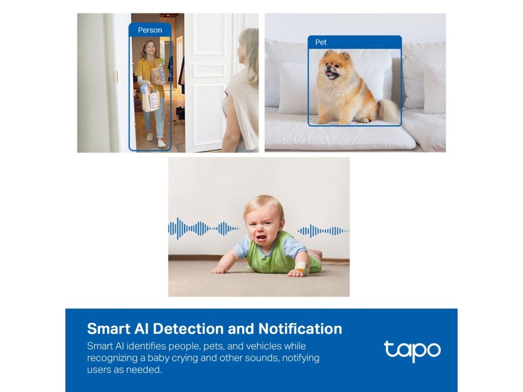 Smart AI detekcia ľudí, zvierat a zvukov, okamžité notifikácie