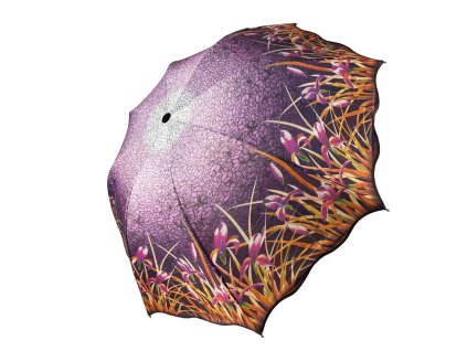 purple grass otvoreny