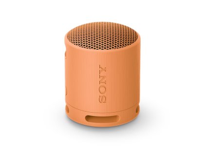 Sony SRS-XB100/Mono/Oranžová