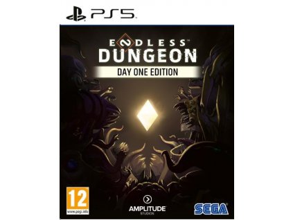 PS5 hra Endless Dungeon Day One Edition