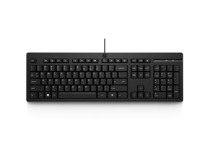 HP 125 Wired Keyboard - Anglická