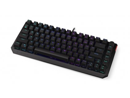 Endorfy herní klávesnice Thock 75% Red/ drátová / USB / red switch / mechanická / CZ layout / černá RGB