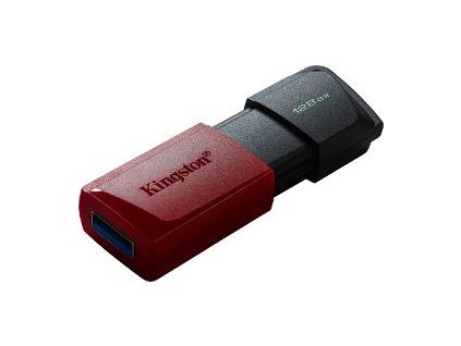 DTXM/128GB USB3.2 Gen 1 USB FD KINGSTON