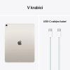 Apple iPad Air 13 Cell 9