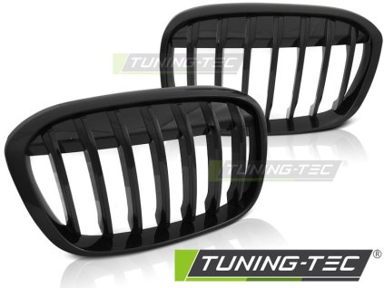 GRILLE GLOSSY BLACK fits BMW X1 F48 15-20