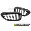 GRILLE SPORT GLOSSY BLACK DOUBLE BAR fits BMW G30 / G31 17-20