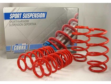Sportovní pružiny VW PASSAT VARIANT 2.3 V5 AUT./2.8 V6/2.5 V6 TDi r.v.11/2000-2005 typ:3BG