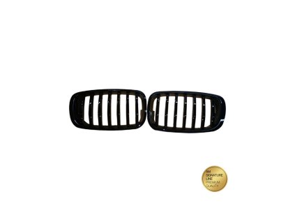 Přední maska, ledvinky BMW X6 (E71, E72) X5 (E70) 2008-2014 Single Line, leská černá