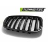 Přední maska, ledvinky BMW X5 E53 LCI 04-06 lesklá černá
