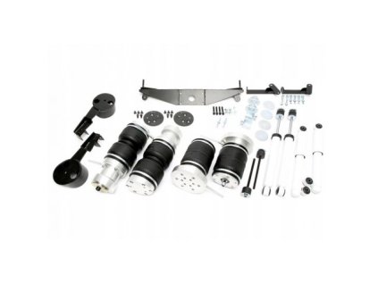 Bags with Dampers - Mercedes W123 C123