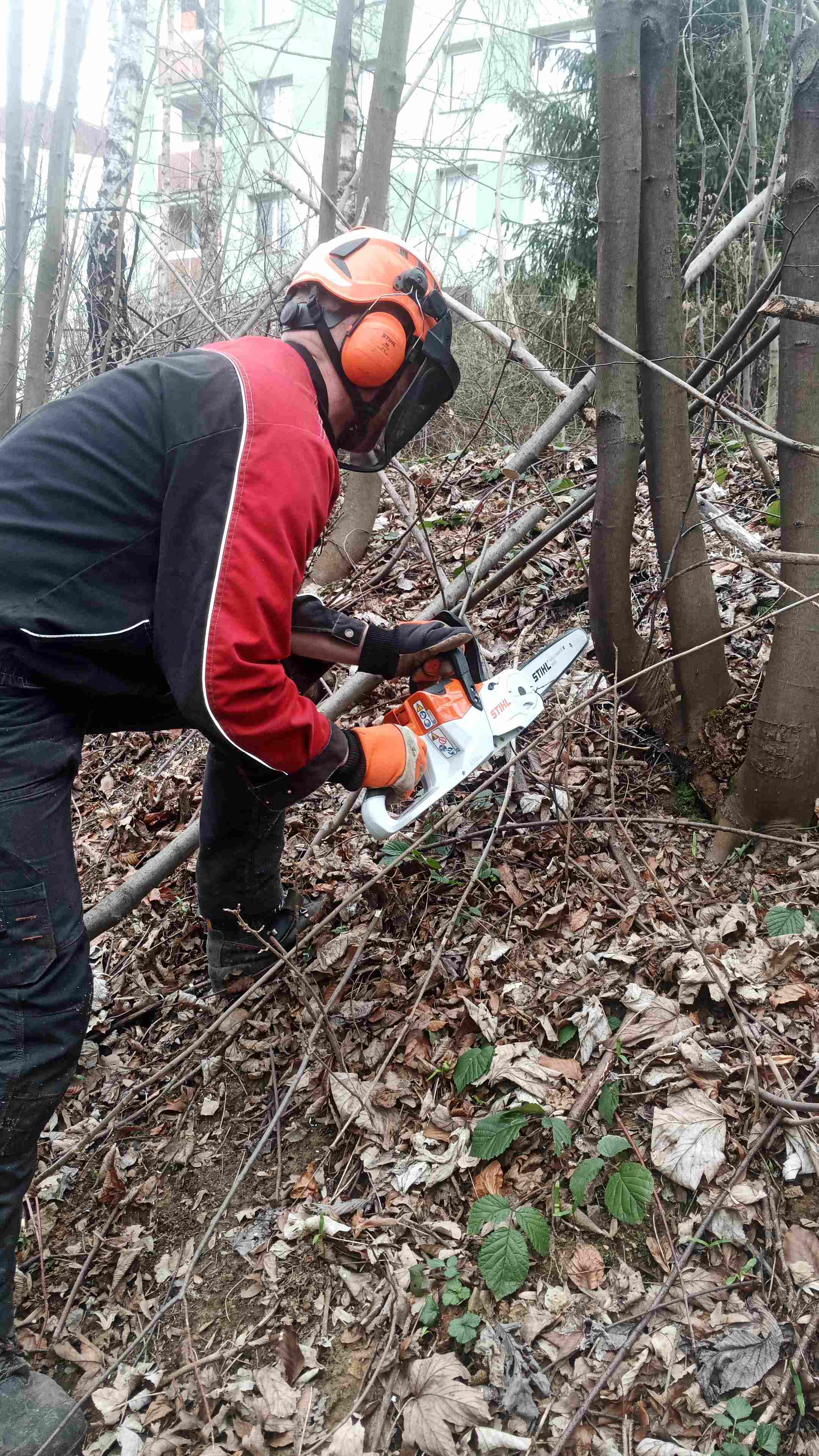 Testování nové aku pily STIHL MSA 70 C-B