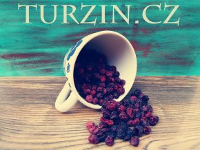 Turzin Brusinky neslazené, bez oleje